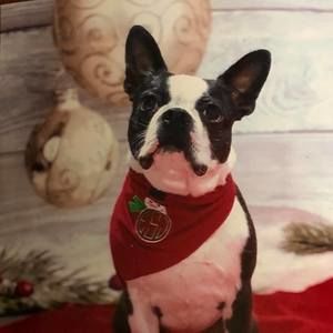 Meet your Posher, Leslie